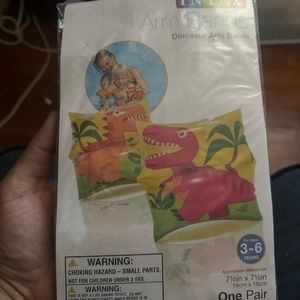Intex arm band floaties (Dinosaur)